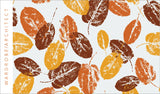 $50 Gift Card - Wardrobe Architect